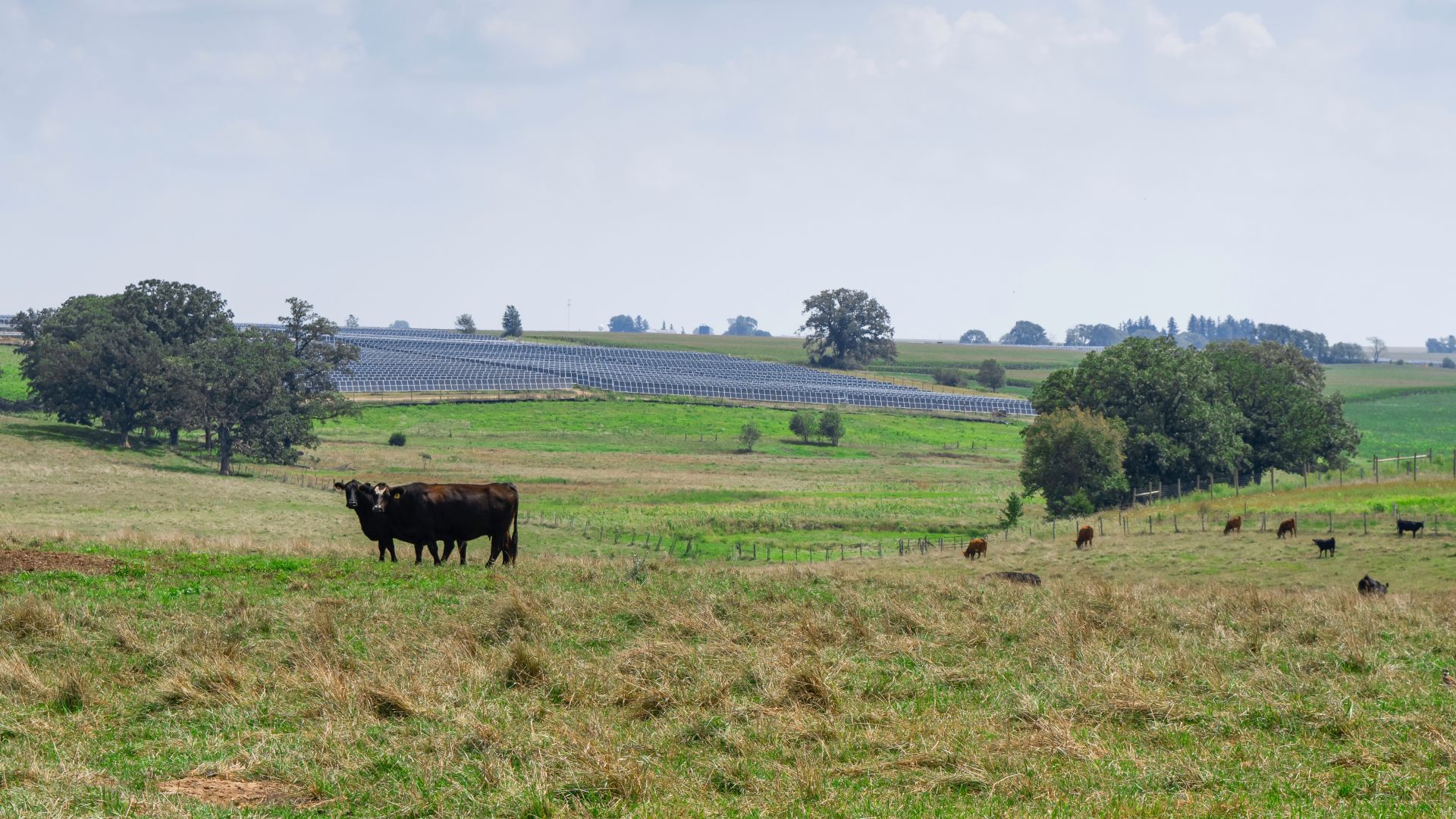 The South in Focus at Climate Week - Reliability, Affordability and Building Projects on Community Terms